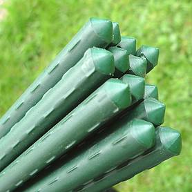 Plant Stake & Tomato Support Garden Canes - 1.2m / 47